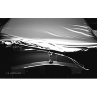 Ð¤Ð¾ÑÐ¾Ð³ÑÐ°ÑÐ¸Ð¸ ÑÐ¾Ð¾Ð±ÑÐµÑÑÐ²Ð°_84-VU6zuOtA9g5hNkVLc5DvGrGct69isgwA.jpg